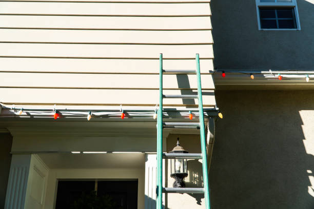 Best Vinyl Siding Installation  in Rockwell City, IA