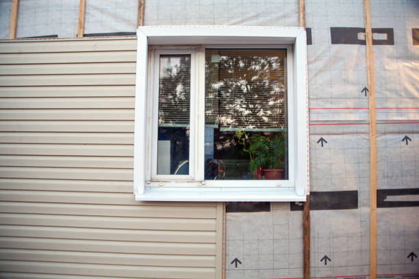 Best Custom Trim and Detailing for Siding  in Rockwell City, IA